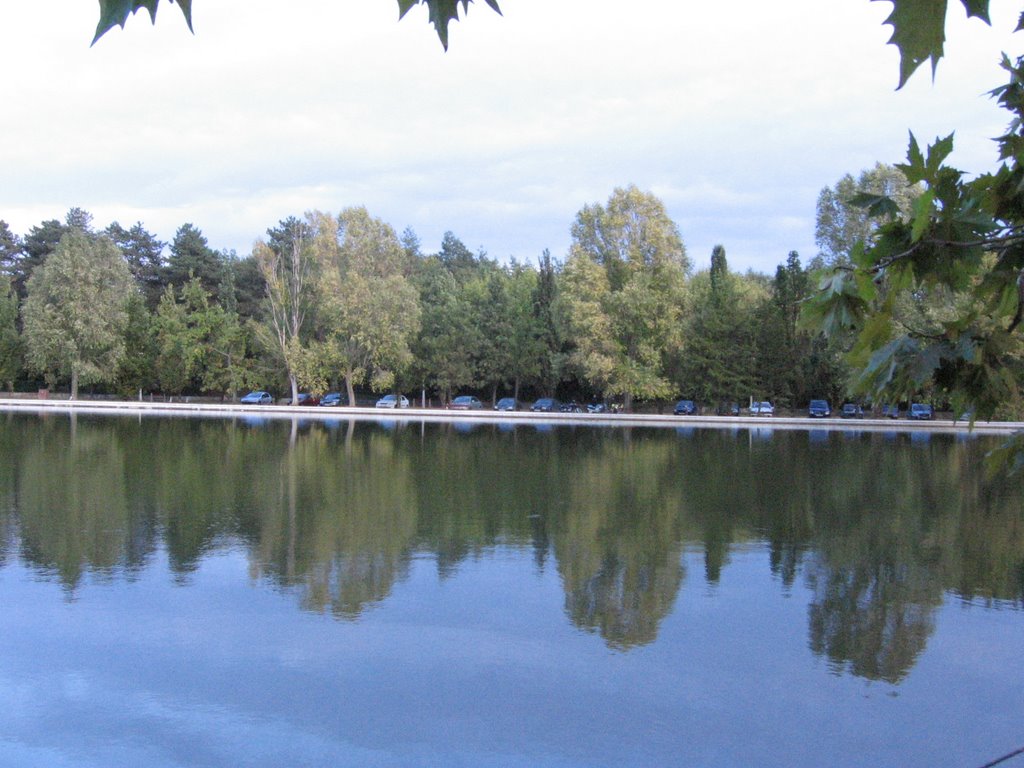 Debrecen, csónkázótó by Csatári László