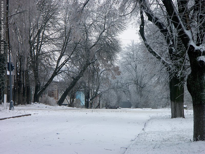 Площа Свободи. Міський парк. Зима. Кролевець * Krolevets. Winter. Park. Freedom Square by Volodymyr Kurylenko