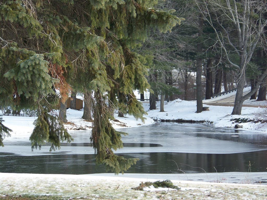 Winter in Southington by Sydney2305