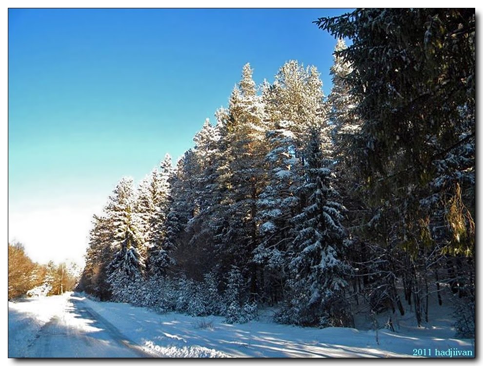 Зимна красота / Winter beauty by hadjiivan