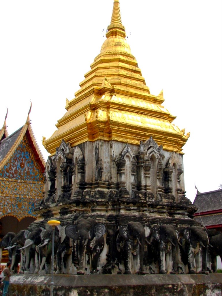 Elepahant Chedi (Golden Chedi) of Wat Chang Man, Chiang Mai by Siamshot