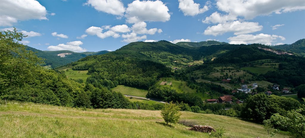 Blick ins Tal bei Ottenhöfen by Rick59