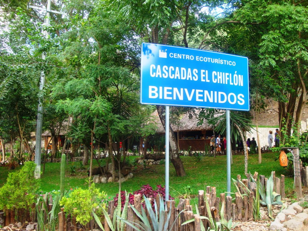 Entrada a las cascadas del chiflón by Alejandro Guzmán Robles