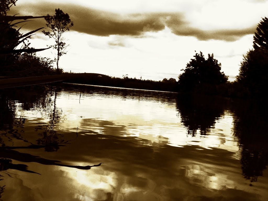 Before the storm by Robert Chapman