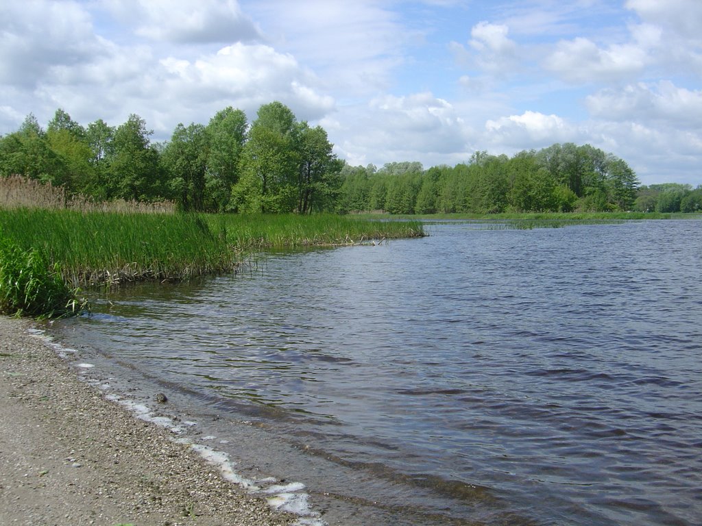 Narew River, Mazovia, Poland by A.Korzeniowski