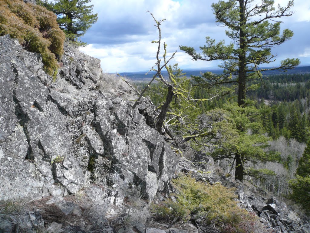 North of look out tower by Perry Melenka