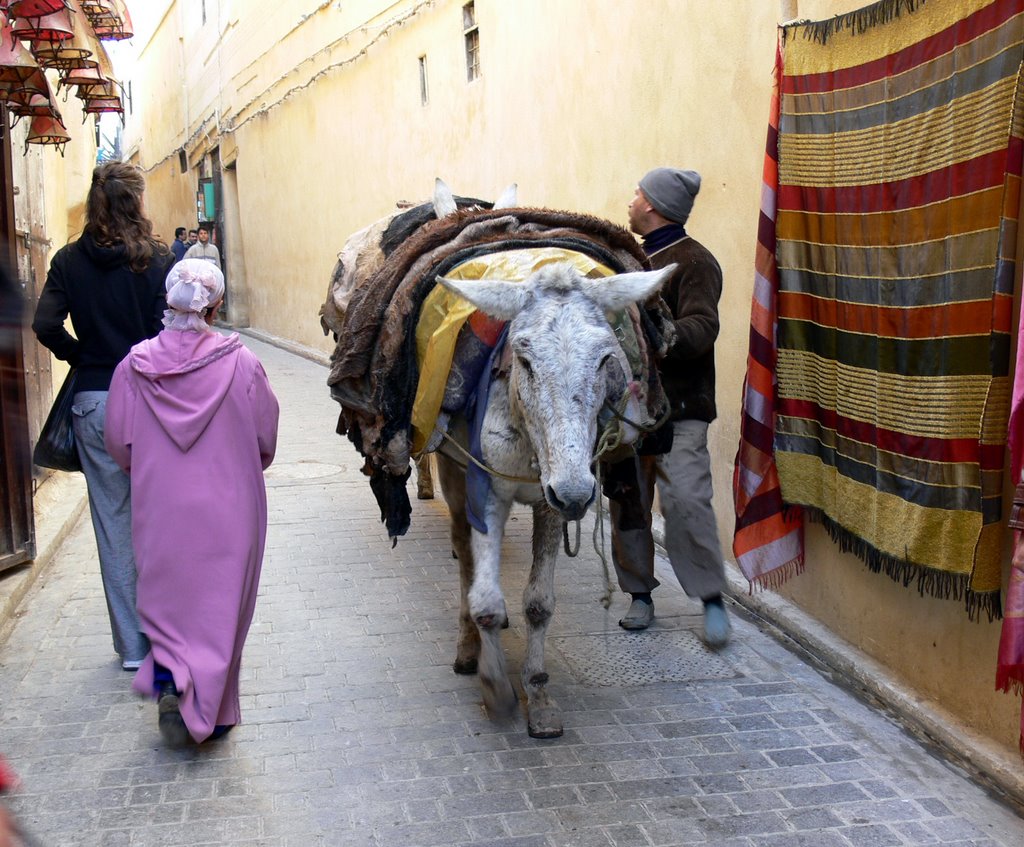 FES (Morocco)-Medina. by Carlos Sieiro del Ni…