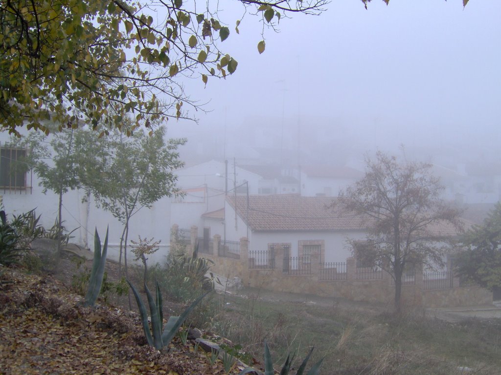 Mañanitas de niebla . . . by Paco Letras