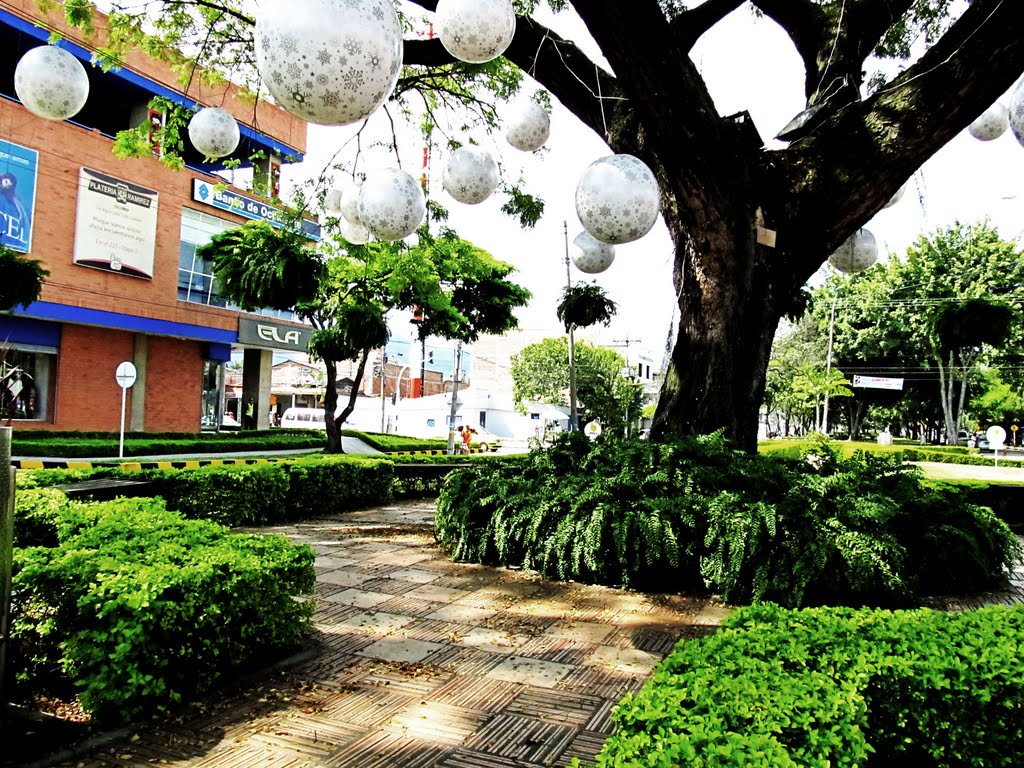 Bajo el arbol en el Unico centro comercial by Alexis Valencia