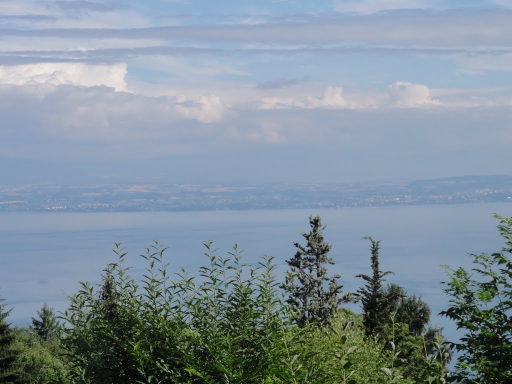 Blick auf das Nordufer des Genfer Sees mit Lausanne by Fotomeister