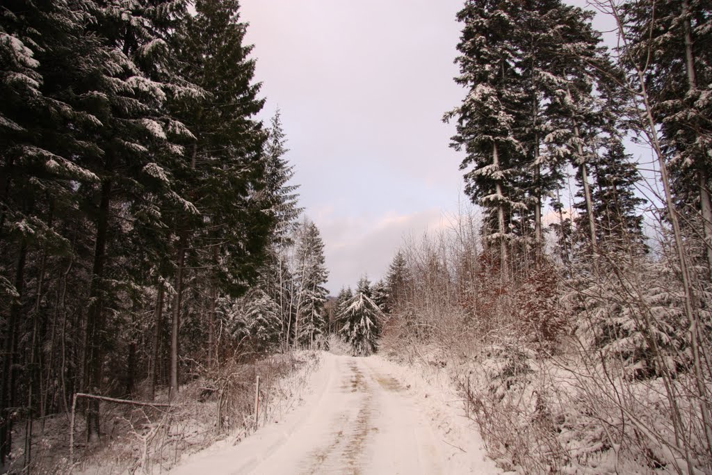 Winter bei Albstadt by KLME