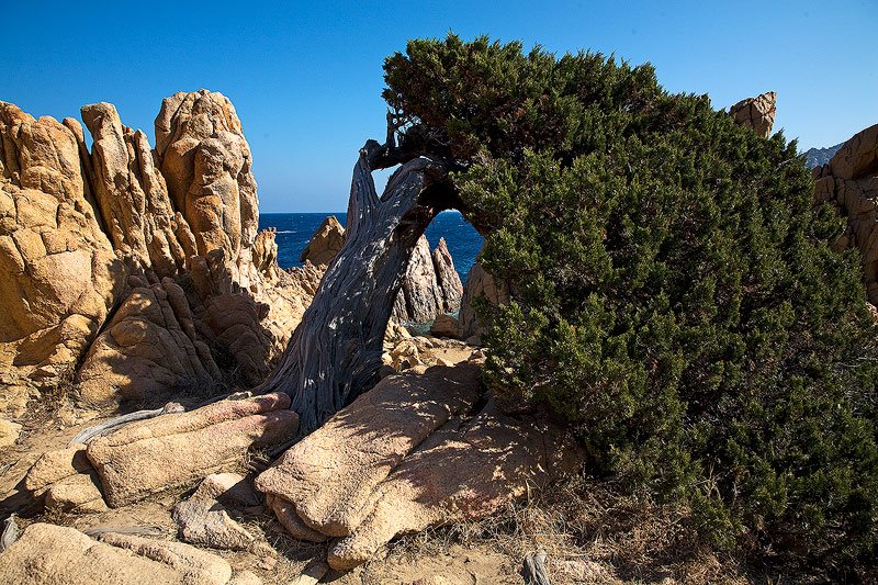 Costa Paradiso (Olbia - Tempio) by Mauro M