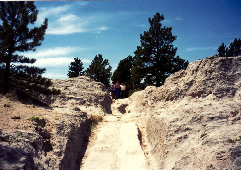 Mormon Trail wagon ruts by runt35