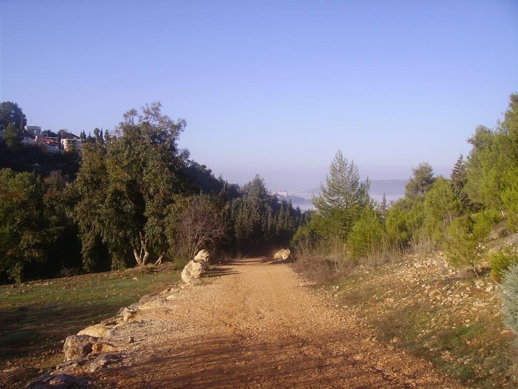 נחל עין כרם Wadi Ein Karem by AfikLi