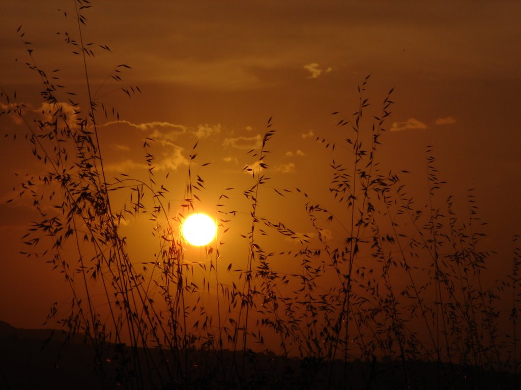 Puesta de sol by juan enriquem