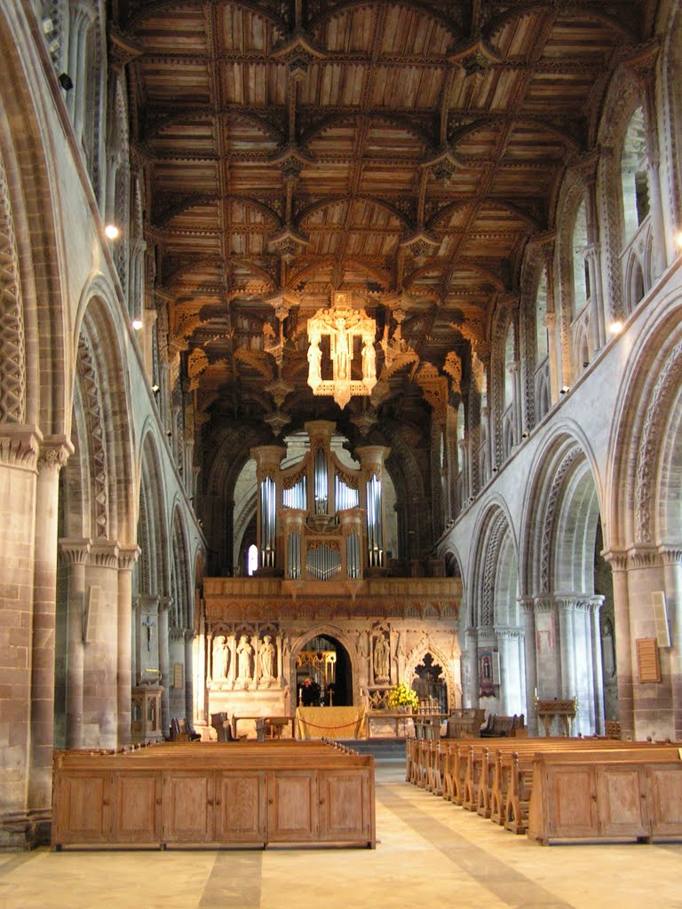 Inside the Cathedral by Mike Shields