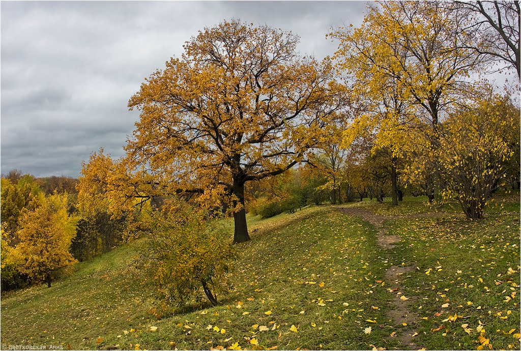 Коломенское. Осень 2011 by Anna Tsvetkovskaya