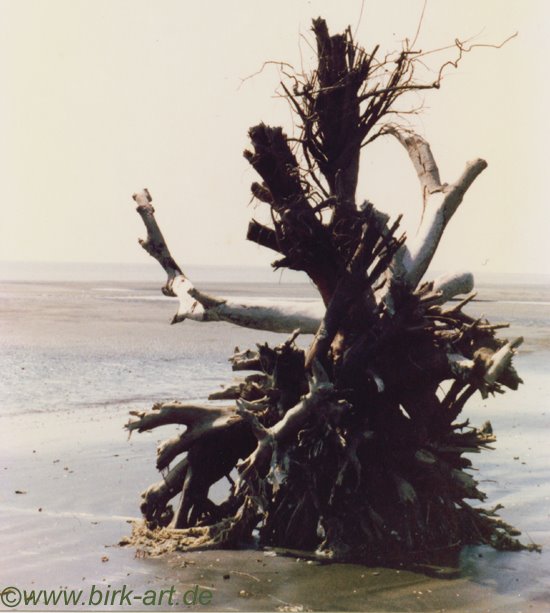 On the beach, Yelibuya Island, Sierra Leone by bastian birk