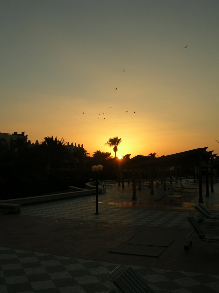 Royal Palace - pool. Sunset. by maciek