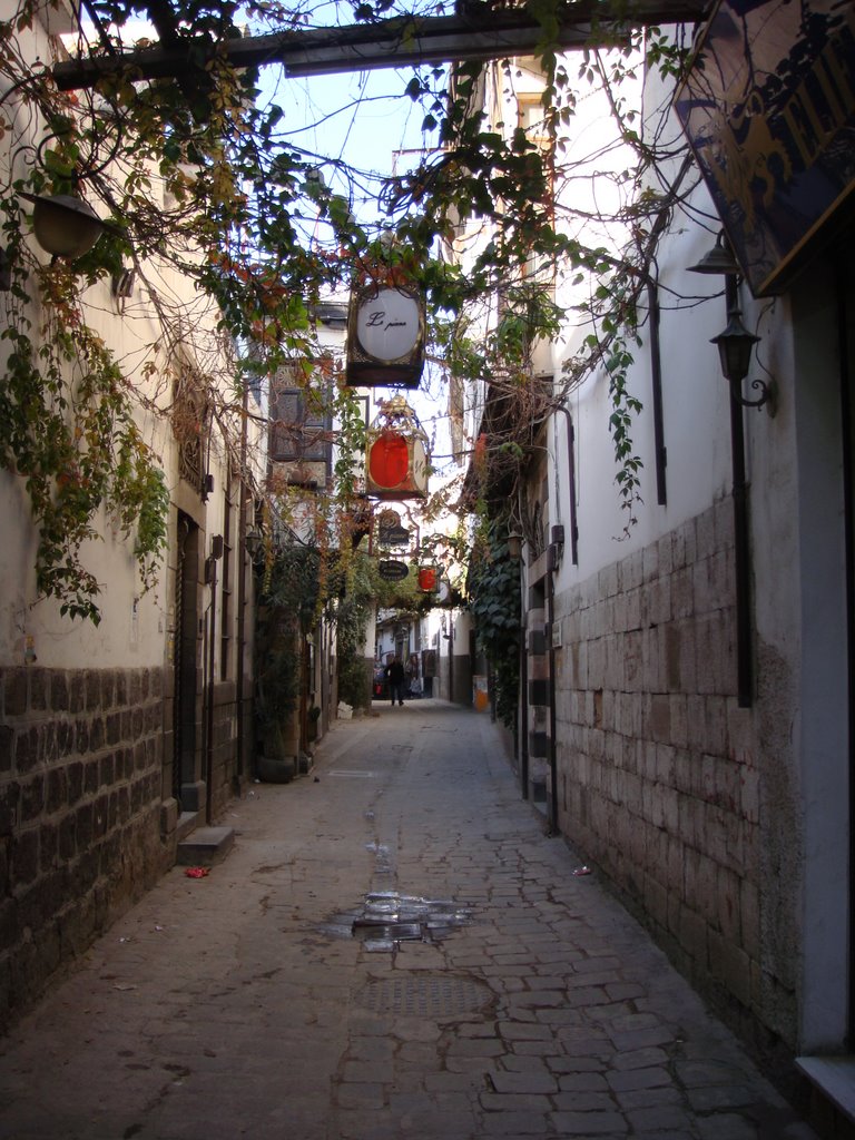 Syrien - Damascus by tomaholic