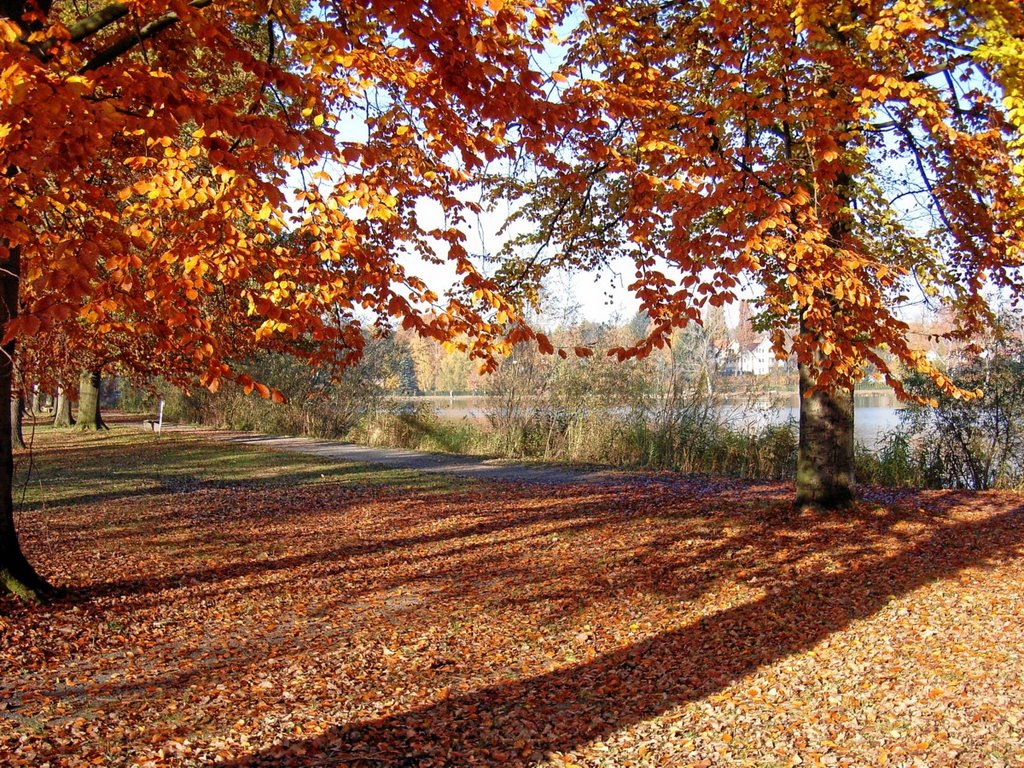 Mühlhausen Herbst am Schwanenteich by scholle