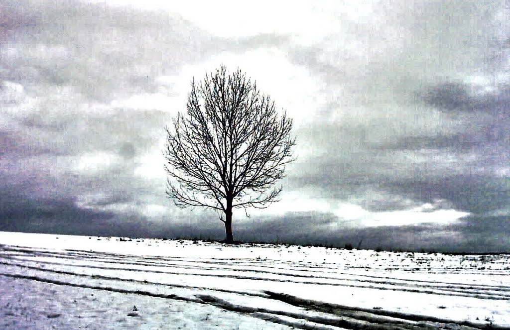 Winter auf dem Siegfried by Mobendorf