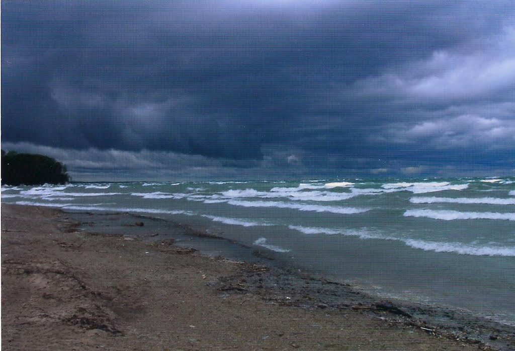 A Rough Day at the Beach. Lake Erie Beach. NY by T.A. Schmid