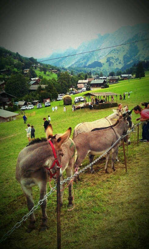 La fete du reblochon 2012. Le Bossonet. La Clusaz by yoman74