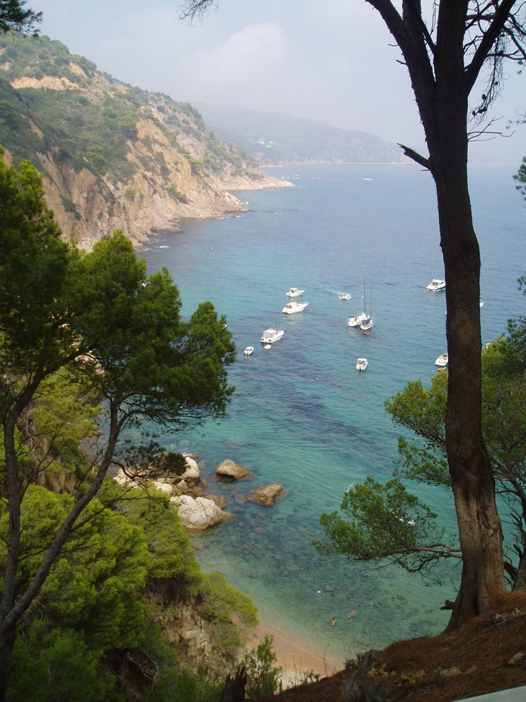 Un sitio precioso ( Cala Futadera ) by Dmitry Buch