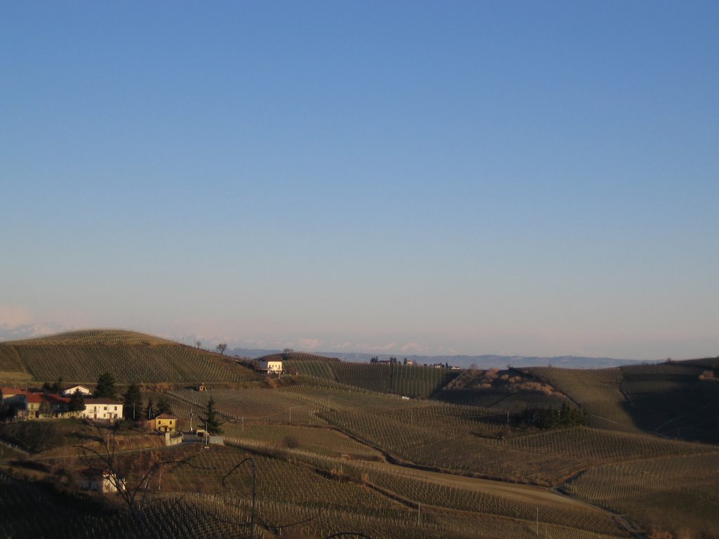 Colline di Ricaldone by Mariano Minaudo