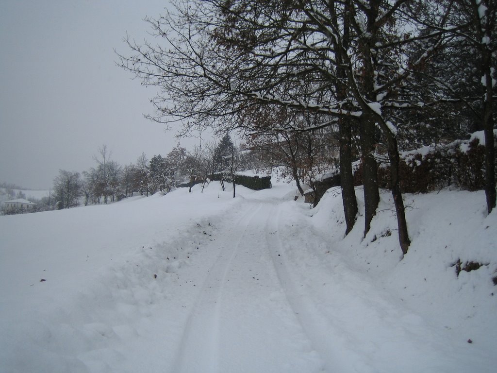 Strada Mergolo-Bricco innevata by Mariano Minaudo