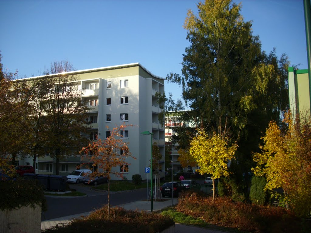 Ilmenau in autumn by Mykola Czerjoszyn