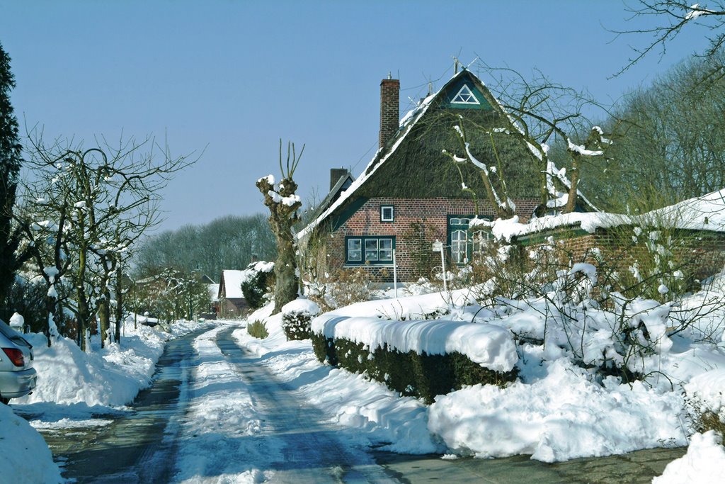 Am Kreuzdeich (Haselau) im tiefen Winter by Juliane Herrmann