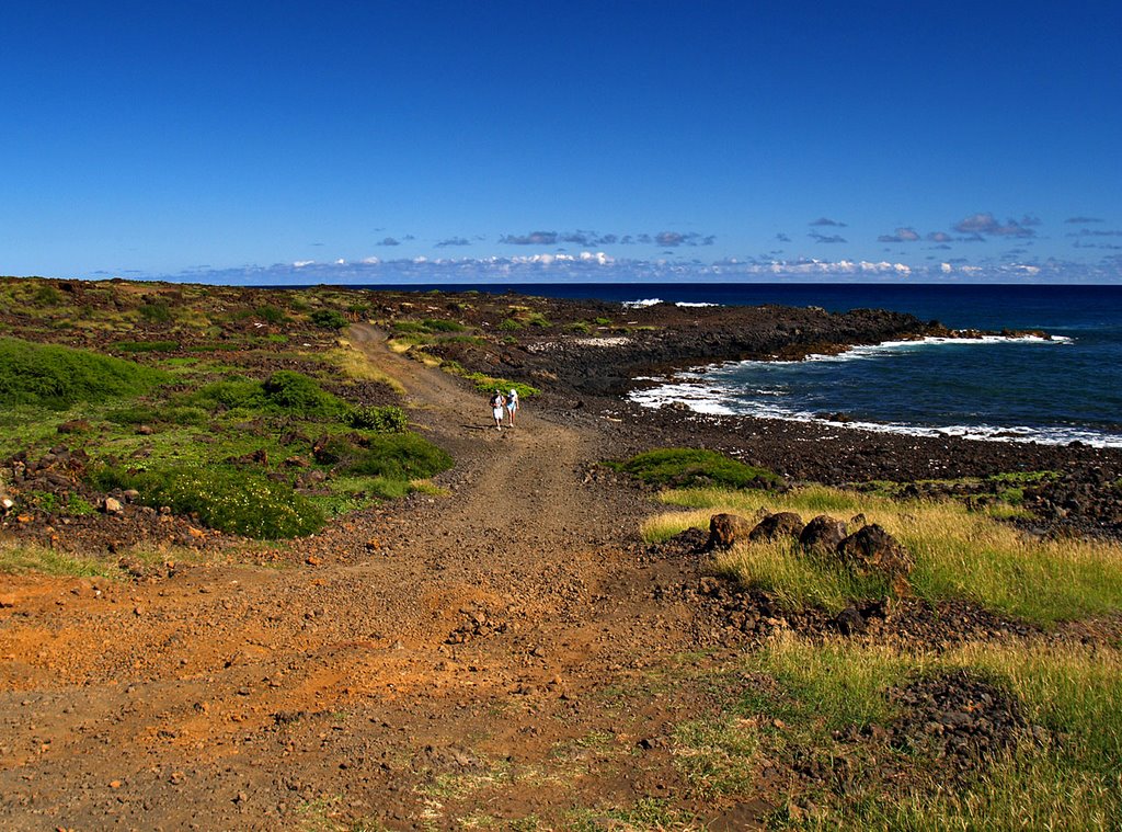 Begiining of trail leading to Green Sand Beach, near South Point, Big Island of Hawaii by geir-ole