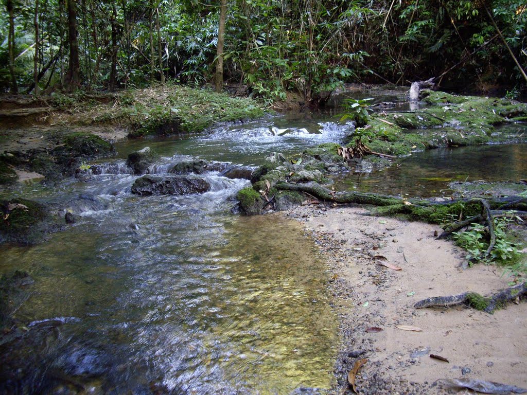 Stream in Sa Nang Manora Forest Park by Bernhard Hiller