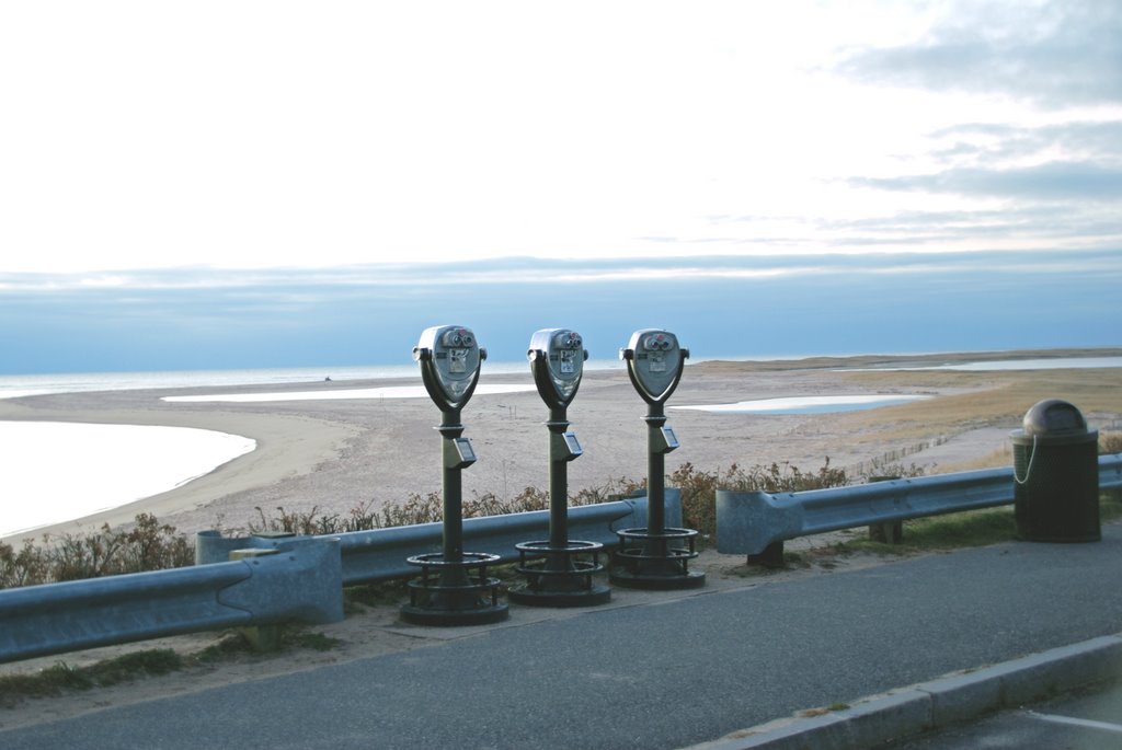 Aliens at Lighthouse Beach by Raftery