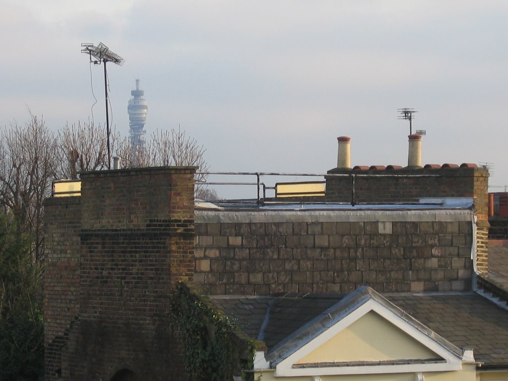 Rooftops and BT (formerly Telecom) Tower by JasonF