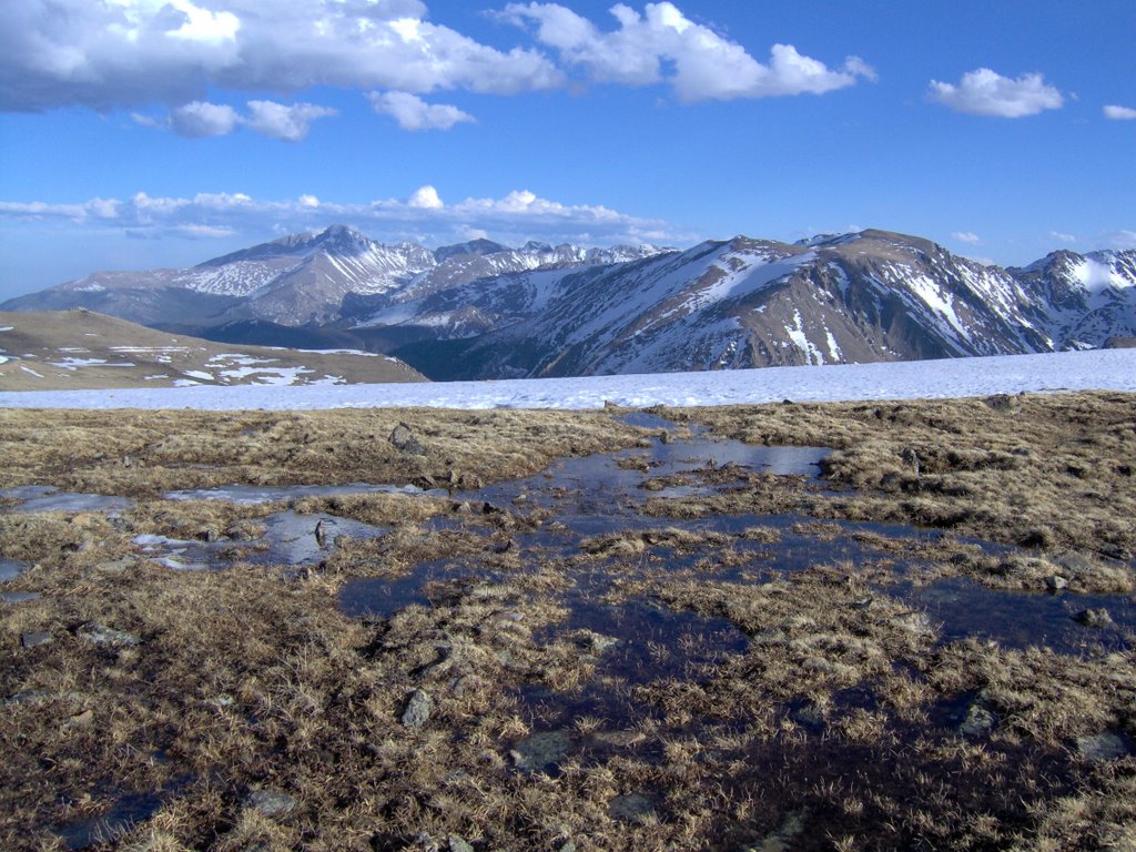 Alpine Tundra by Charles Craig