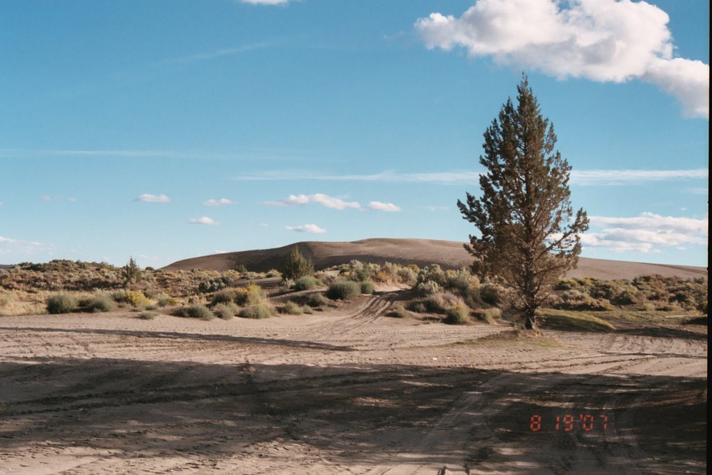 Christmas Valley Sand Dunes by ptlpride