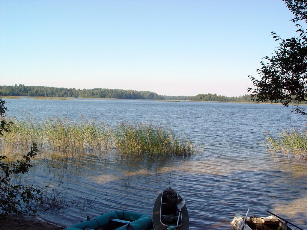 Hvoynoye lake. Озеро Хвойное. #1 by Alexander Tokarev