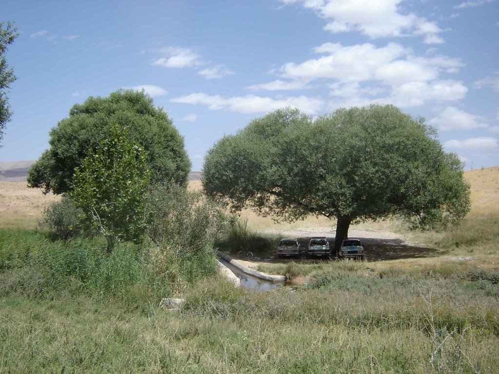 Social park comah villaeg پارک تفریحی روستای کمه by movahedi