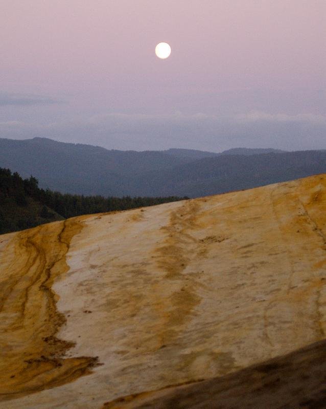 Cape Kiwanda by Aaron Nuffer