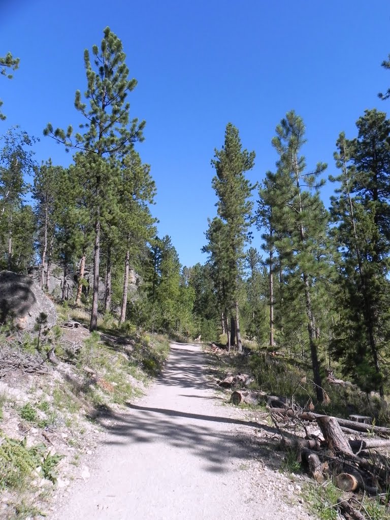 Along the Harney Peak Trail, Custer State Park by HighDesertView