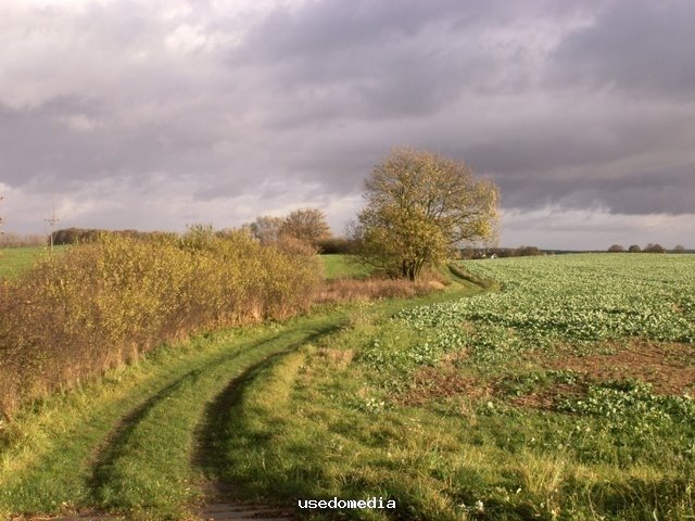 Landschaft bei Lassan / Papenburg by usedomedia