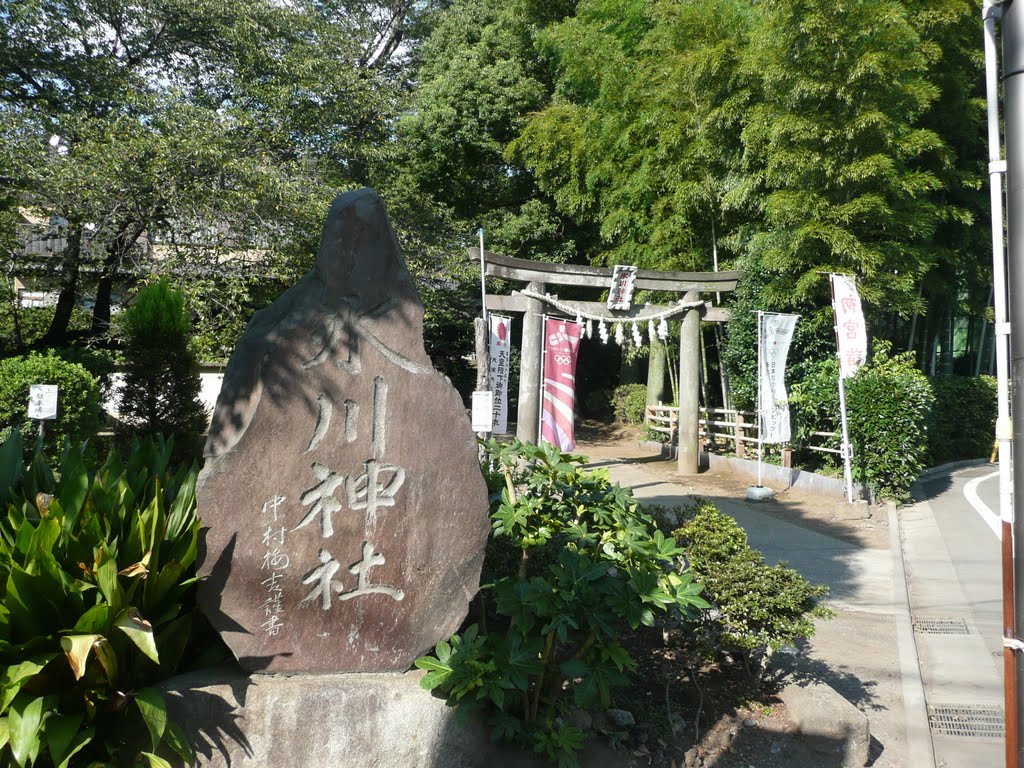 Hikawa shrine（氷川神社　練馬区氷川台） by konigan