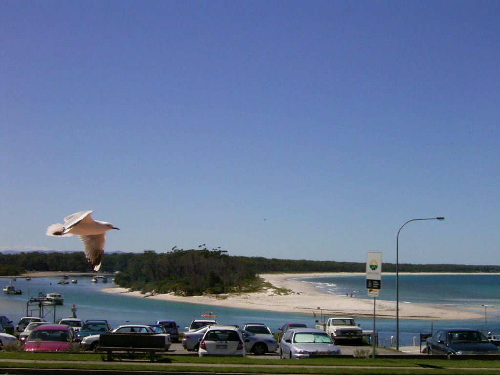 Looking up Currumbeen Creek from Owen Street, Huskisson by paul atkins