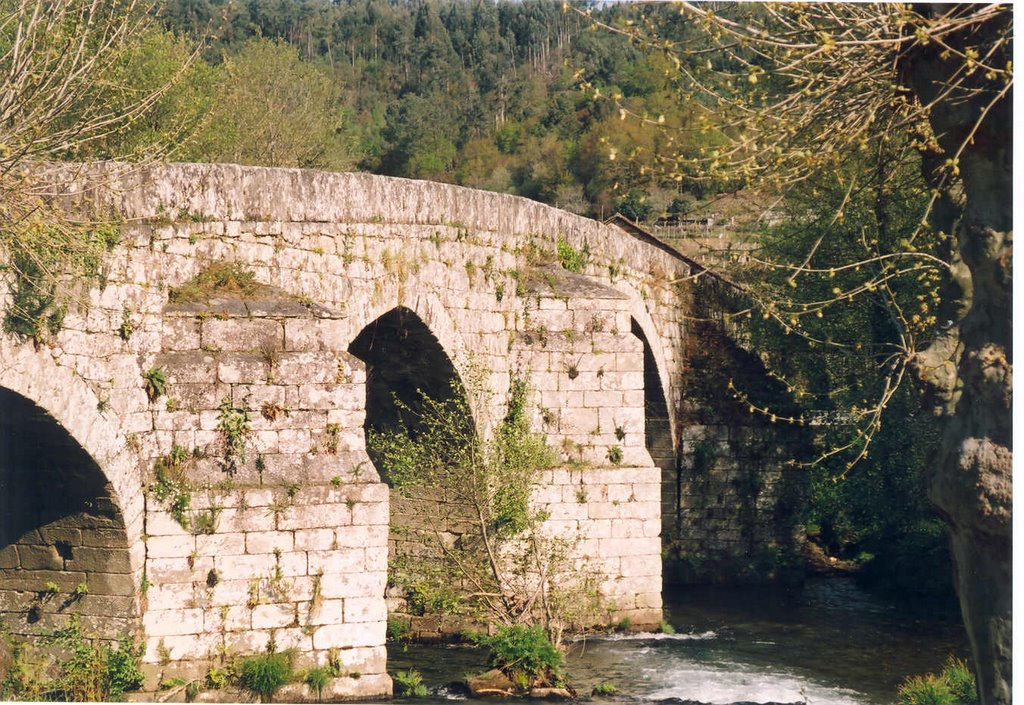 Puente en Mondariz by tinopi