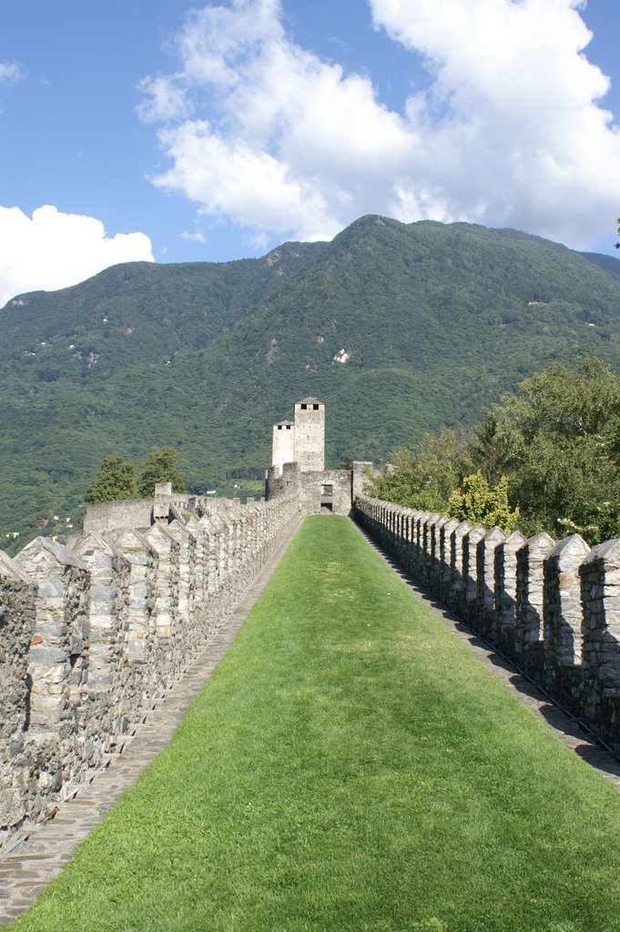 Bellinzona, Switzerland by Babounet