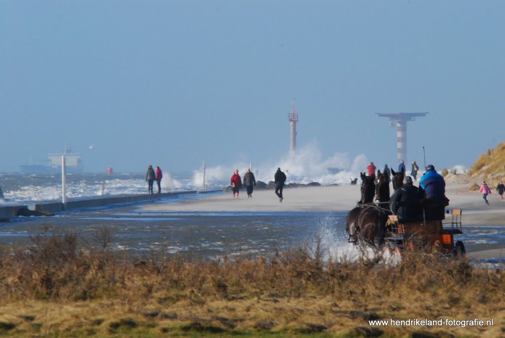 Vierspan op de pier by hendrikeland