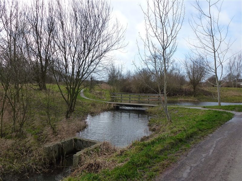 Hoog water in Opwierde by Netty van der Deen - Flikkema